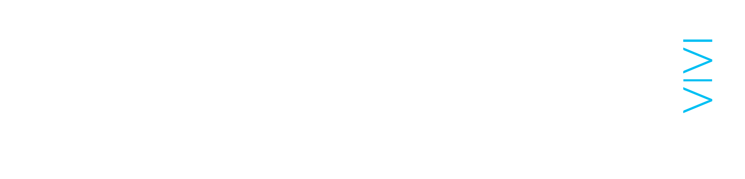 VIVI - logo